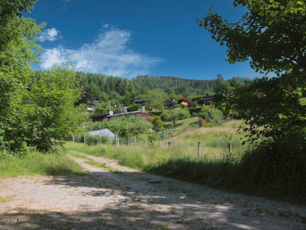 Blick nach Nordwesten. Hier gärtnert unser Imker.