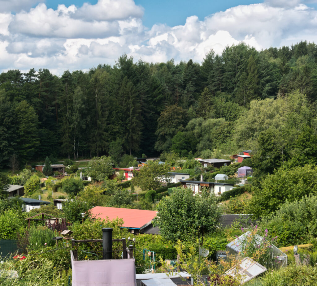 Blick auf Abt.7 u. 8